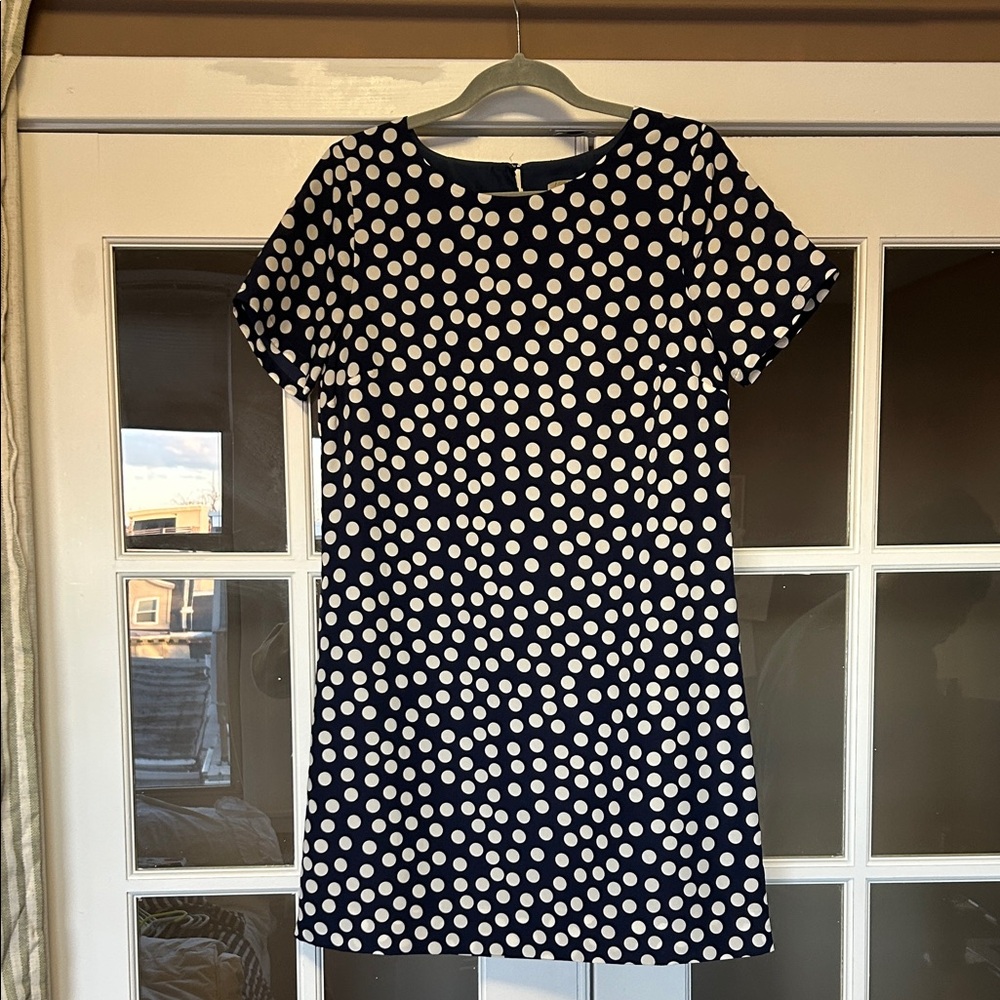 J. Crew Navy and White Polka Dot Mini Dress